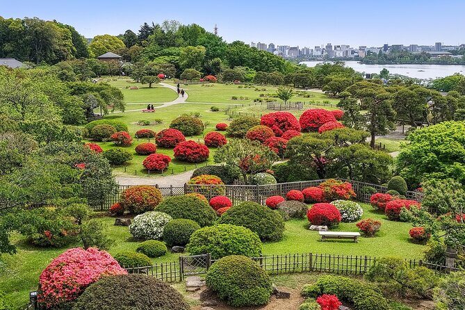 Hitachi Seaside Park and Mito Highlights Tour - Final Verdict: Who Will Love This Tour?