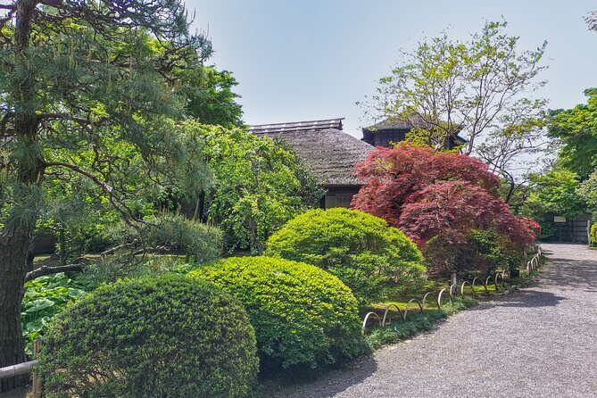 Hitachi Seaside Park and Mito Highlights Tour - Final Thoughts