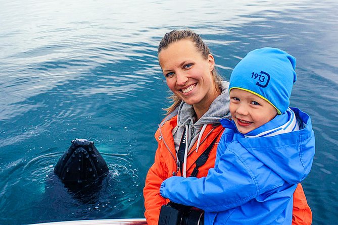 Hjalteyri Whale-Watching Tour on Traditional Oak Ship  - Akureyri - What To Expect