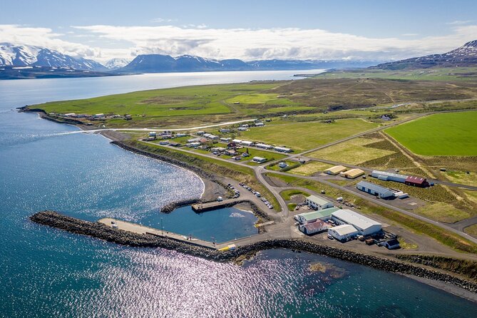 Hjalteyri Whale-Watching Tour on Traditional Oak Ship  - Akureyri - Cancellation Policy