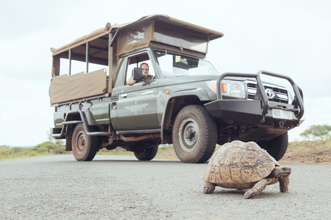 Hluhluwe Game Drive - Half Day - Tour Highlights