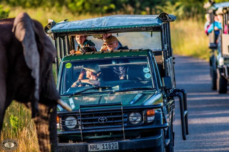 Hluhluwe-Imfolozi: Big 5 Full or Half-Day Safari - Who Should Consider This Tour?