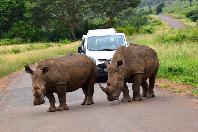 Hluhluwe Imfolozi & Dumazulu Cultural Village Tour From Durban - Pickup Details and Locations