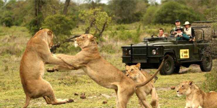 Hluhluwe & Isimangaliso Wetlands Park 2 Day Tour From Durban - Tour Highlights