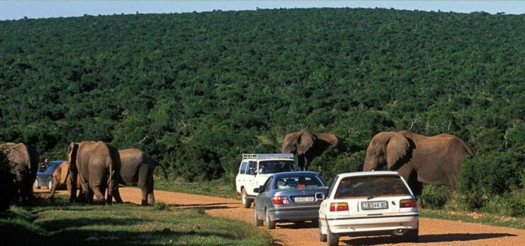 Hluhluwe & Isimangaliso Wetlands Park 2 Day Tour From Durban - Itinerary