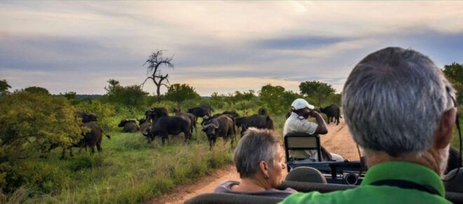Hluhluwe & Isimangaliso Wetlands Park 2 Day Tour From Durban - Highlights