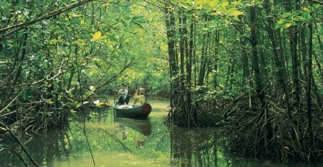 Ho Chi Minh: Can Gio Mangrove Biosphere Reserve 1 Day Tour - Detailed Itinerary