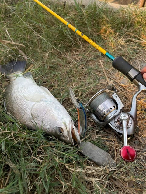 Ho Chi Minh City: Barramundi Fishing Day Tour - Good To Know