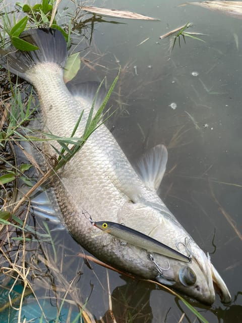 Ho Chi Minh City: Barramundi Fishing Day Tour - What to Bring