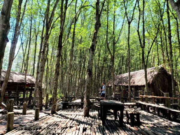 Ho Chi Minh City: Can Gio - Monkey Island by Motorbike - The Sum Up