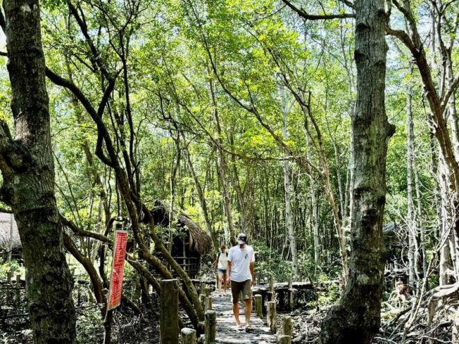 Ho Chi Minh City: Can Gio Monkey Island Day Trip With Lunch - Included Services