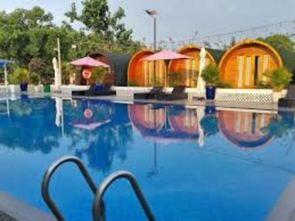Ho Chi Minh City: Can Gio Monkey Island Day Trip With Lunch - Customer Reviews