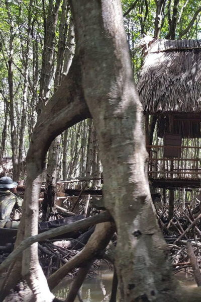 Ho Chi Minh City: Can Gio Monkey Island Day Trip With Lunch - Nearby Attractions to Explore