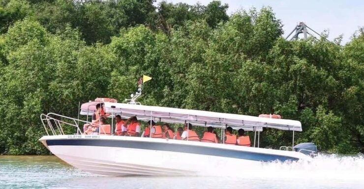 Ho Chi Minh City: Dragon Floating Temple Sightseeing - Good To Know