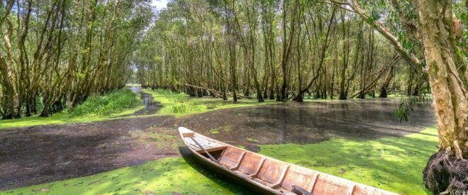 Ho Chi Minh City: Explore Eco Tour - Can Gio Mangrove Forest - Key Activities and Experiences