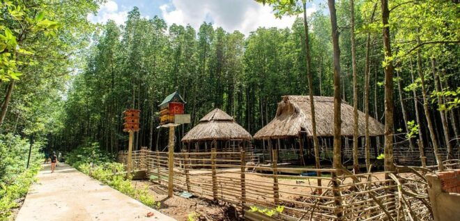 Ho Chi Minh City: Explore Eco Tour - Can Gio Mangrove Forest - Transportation and Accessibility