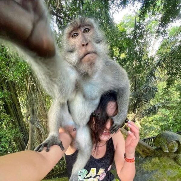 Ho Chi Minh City: Explore Eco Tour - Can Gio Mangrove Forest - Customer Reviews and Feedback