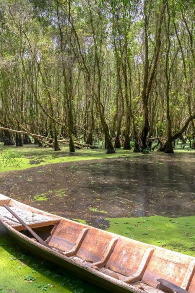 Ho Chi Minh City: Explore Eco Tour - Can Gio Mangrove Forest - Tips for Visiting Can Gio