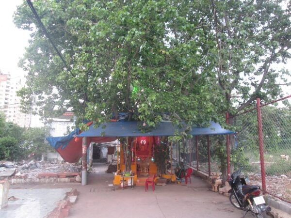 Ho Chi Minh City: Ghost, Belief & Culture Tour on Motorbike - Inclusions and Amenities