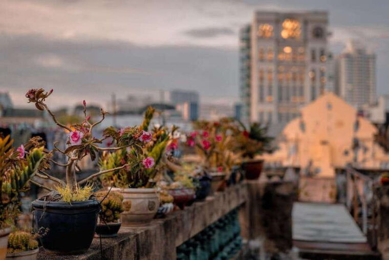 Ho Chi Minh: City Highlights & Hidden Gems Walking Tour - Café Culture and Street Food