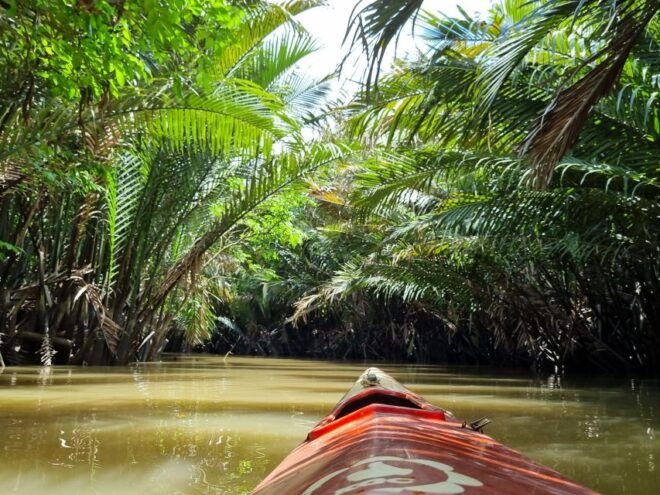 Ho Chi Minh City: Mekong Delta Day Trip With Lunch & Drinks - Morning Journey to Ben Tre