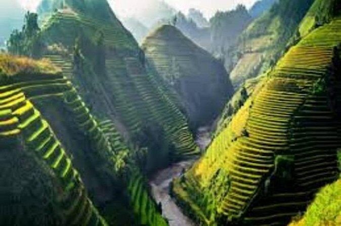 Ho Chi Minh City Tour 14 Days - Final Thoughts