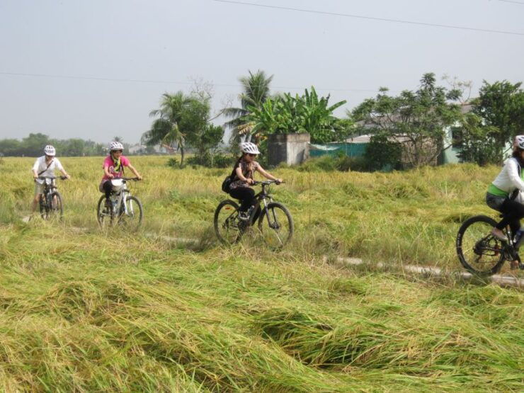 Ho Chi Minh: Countryside Half–Day Bike Tour - Booking Details