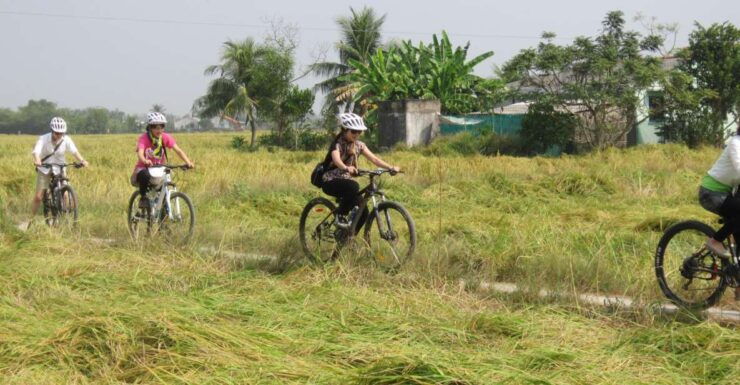 Ho Chi Minh: Countryside Half–Day Bike Tour - Experience the Saigon Countryside