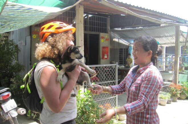 Ho Chi Minh: Countryside Half–Day Bike Tour - Explore Traditional and Modern Ho Chi Minh City