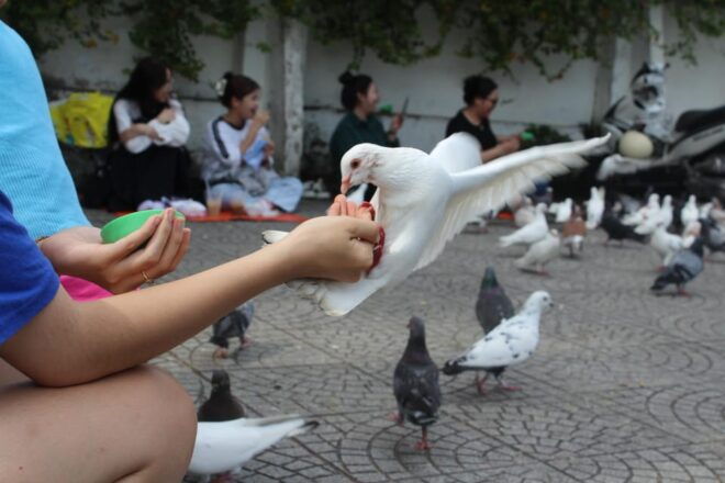 Ho Chi Minh: Day Sightseeing and Local Tasting on Scooter - Tour Inclusions and Benefits