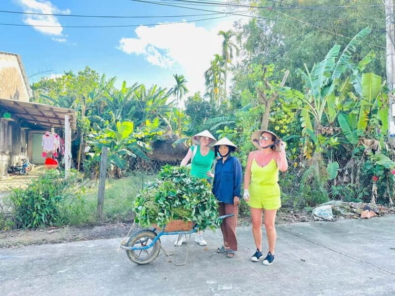 Ho Chi Minh: Mekong Delta Day Trip Small Group (Max 11 Pax) - Good To Know