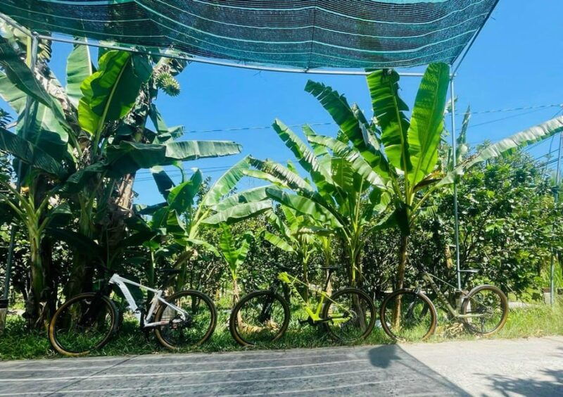 Ho Chi Minh: Mekong Delta Day Trip Small Group (Max 11 Pax) - Itinerary Highlights