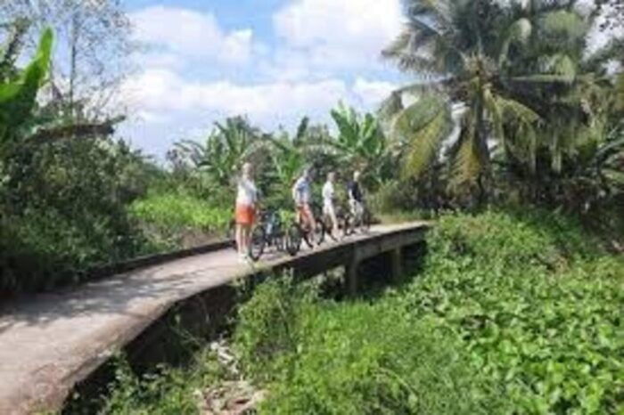 Ho Chi Minh: Mekong Delta Day Trip Small Group (Max 11 Pax) - Customer Reviews