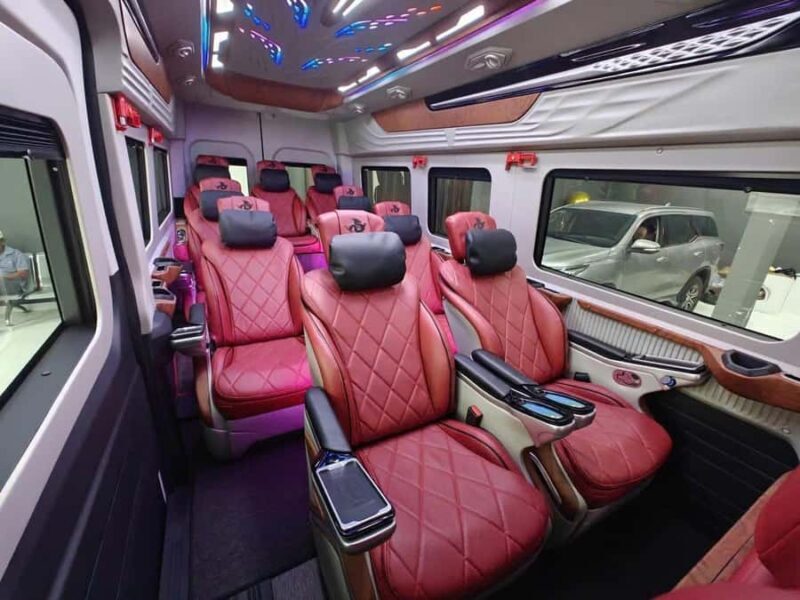 Ho Chi Minh: Mekong Delta Tour optional transfer Limousine - Authentic Cultural Encounters