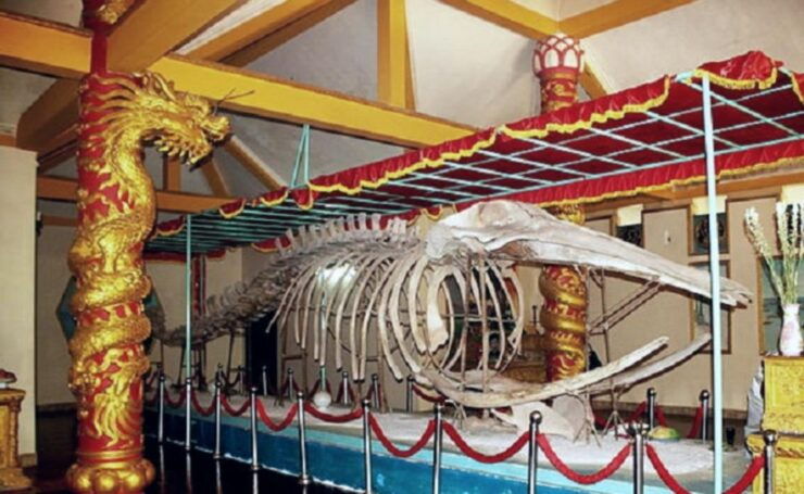 Ho Chi Minh: Private Vung Tau City Beach Day Trip - Experience