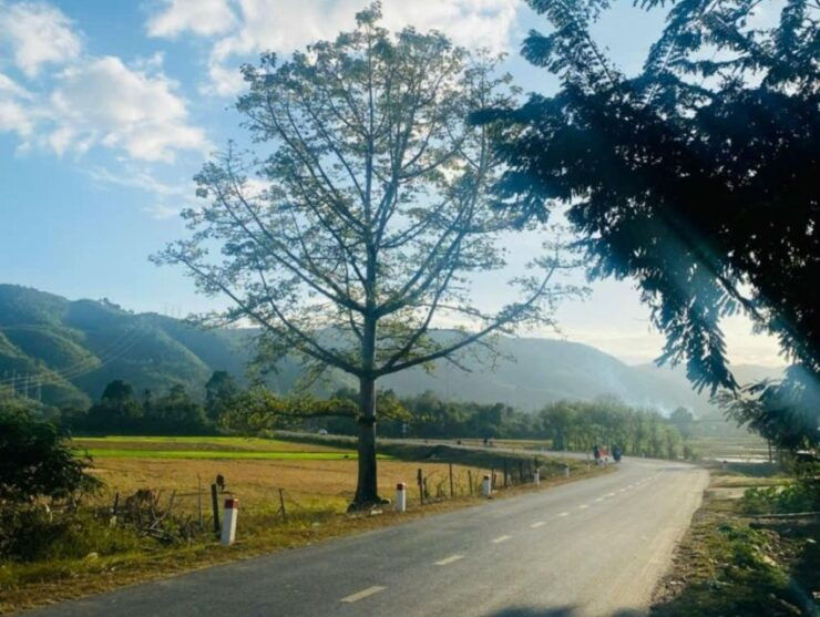 Ho Chi Minh to Cat Tien National Park – Dalat (3 Days) - Live Tour Guide and Pickup Service