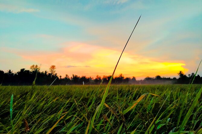 Ho Chi Minh to Mekong Delta Private Full-Day Tour With Lunch  - Ho Chi Minh City - Cancellation Policy