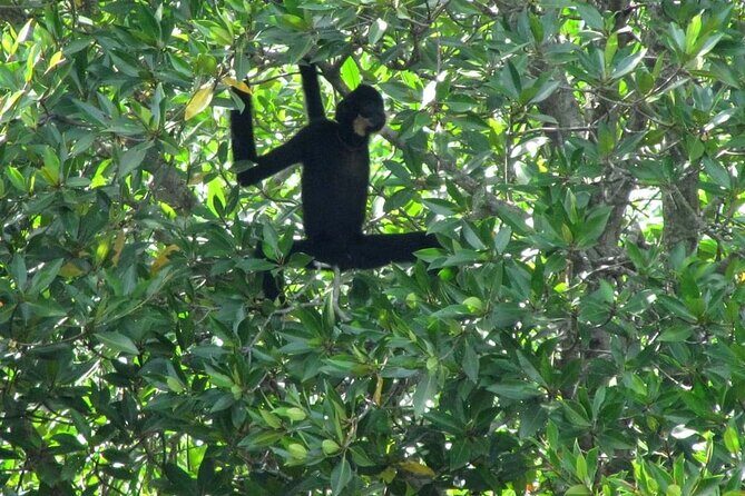 Ho Chi Minh to Vam Sat  Private Eco-Adventure - An In-Depth Look at the Vam Sat Private Eco-Adventure