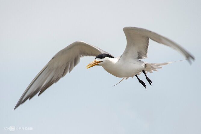 Ho Chi Minh to Vam Sat  Private Eco-Adventure - FAQ