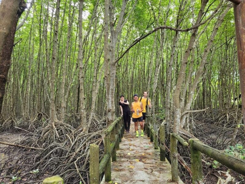 Ho Chi Minh:Can Gio Mangrove Forest W Guide Picked at Hotel - Good To Know