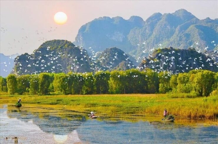 Hoa Lu Ancient - Bich Dong & Thung Nham Bird Valley - Tour Overview and Highlights