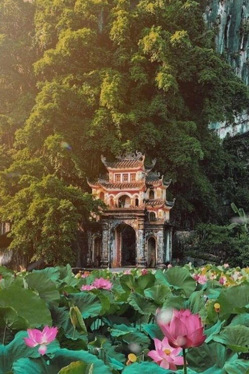 Hoa Lu Ancient - Bich Dong & Thung Nham Bird Valley - Pricing Information