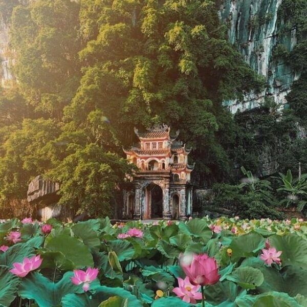 Hoa Lu Ancient - Bich Dong & Thung Nham Bird Valley - Nearby Attractions