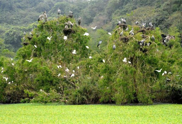 Hoa Lu Ancient - Bich Dong & Thung Nham Bird Valley - The Sum Up
