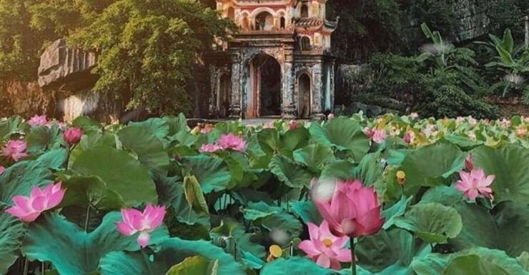 Hoa Lu - Mua Cave - Tam Coc Bich Dong - Biking & Boat Trip - Itinerary Details