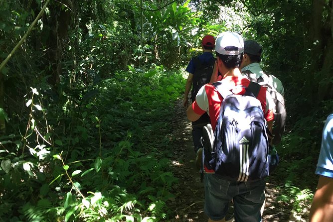 Hoa Lu or Bai Dinh–Trang an –Mua Cave- Cuc Phuong Nationnal Park / 2days1night - Overview of the Hoa Lu or Bai Dinh–Trang an –Mua Cave- Cuc Phuong Nationnal Park Tour