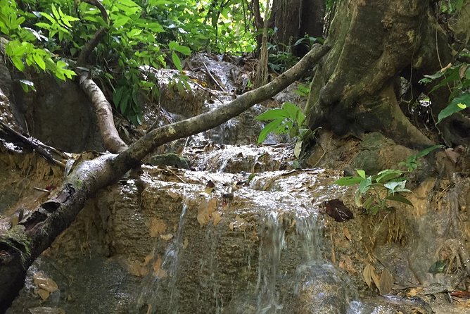Hoa Lu or Bai Dinh–Trang an –Mua Cave- Cuc Phuong Nationnal Park / 2days1night - Day 2: Discovering Trang An and Mua Cave
