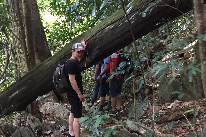 Hoa Lu or Bai Dinh–Trang an –Mua Cave- Cuc Phuong Nationnal Park / 2days1night - Day 2: Trekking Through Cuc Phuong National Park