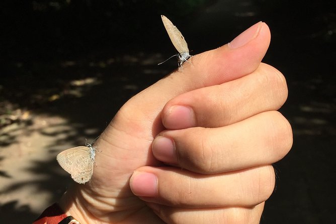 Hoa Lu or Bai Dinh–Trang an –Mua Cave- Cuc Phuong Nationnal Park / 2days1night - Pricing and Booking Information