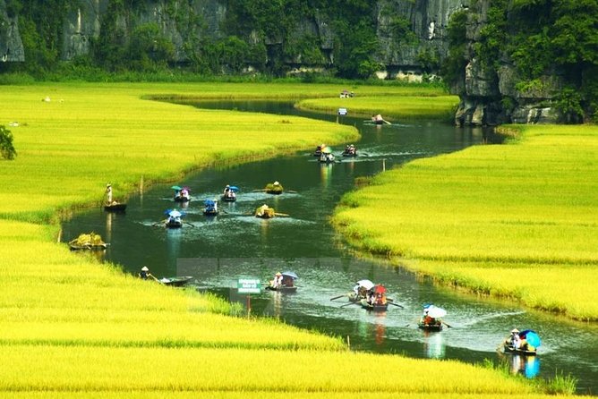 Hoa Lu Tam Coc History and Caves Tour With Lunch From Hanoi - Tour Highlights